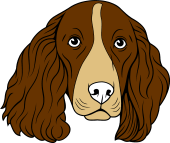 Spaniel Head Cabossed