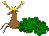 Stag Courant-Issuing out of Bush