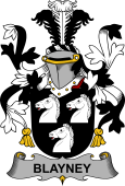 Irish Coat of Arms for Blayney
