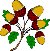 Oak Branch-6 Acorns