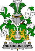 Irish Coat of Arms for Shaughnessy or O'Shaughnessy
