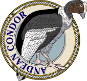 Andean Condor-M