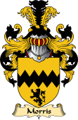 Irish Family Coat of Arms (v.23) for Morris