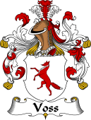 German Wappen Coat of Arms for Voss