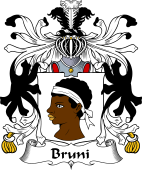 Italian Coat of Arms for Bruni