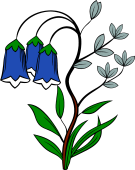 Bell Flowers (3), or Blue-bell