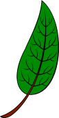 Laurel Leaf (Portugal)