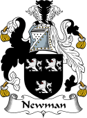 English Coat of Arms for the family Newman