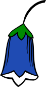 Bell Flower or Blue Bell