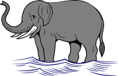 Elephant in River