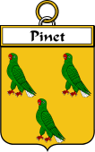 French Coat of Arms Badge for Pinet